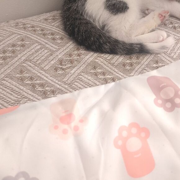 Kitty Cat Paws Print Design Zippered Pillowcase for Accent Pillow - Picture 3 of 13